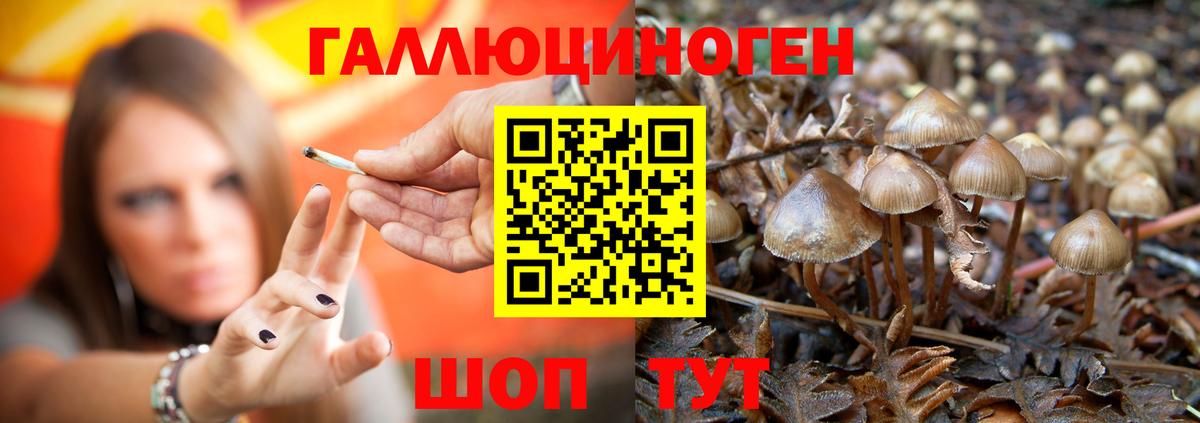 Псилоцибиновые грибы мухоморы  дарнет шоп  Мытищи  Вход с VPN 